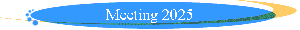 Meeting 2025